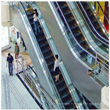 Escalator extérieur résidentiel électrique bon marché de 600mm 0.5m / S